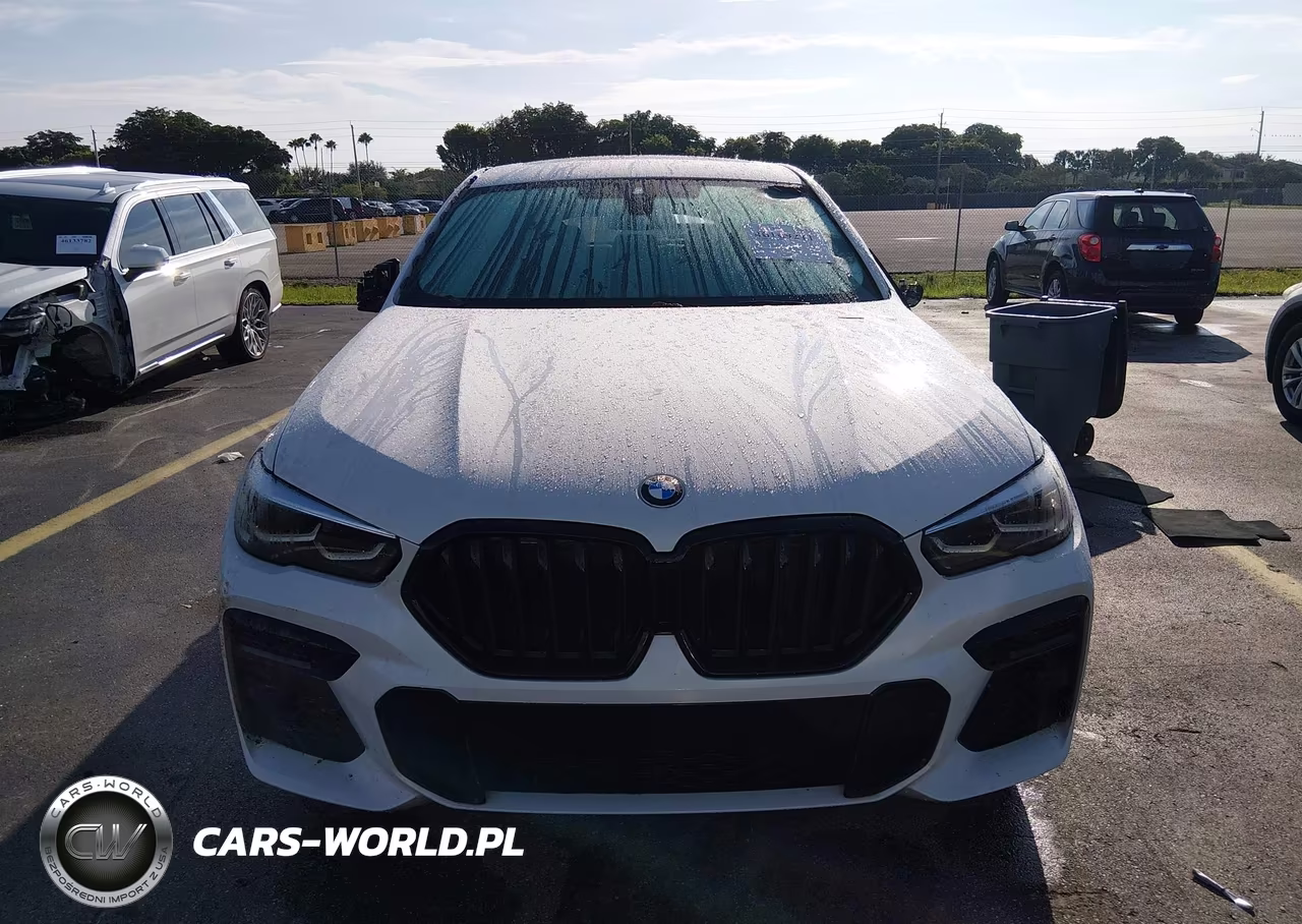 2023 BMW X6 xDrive40I VIN:5UXCY6C05P9N45958 - 12