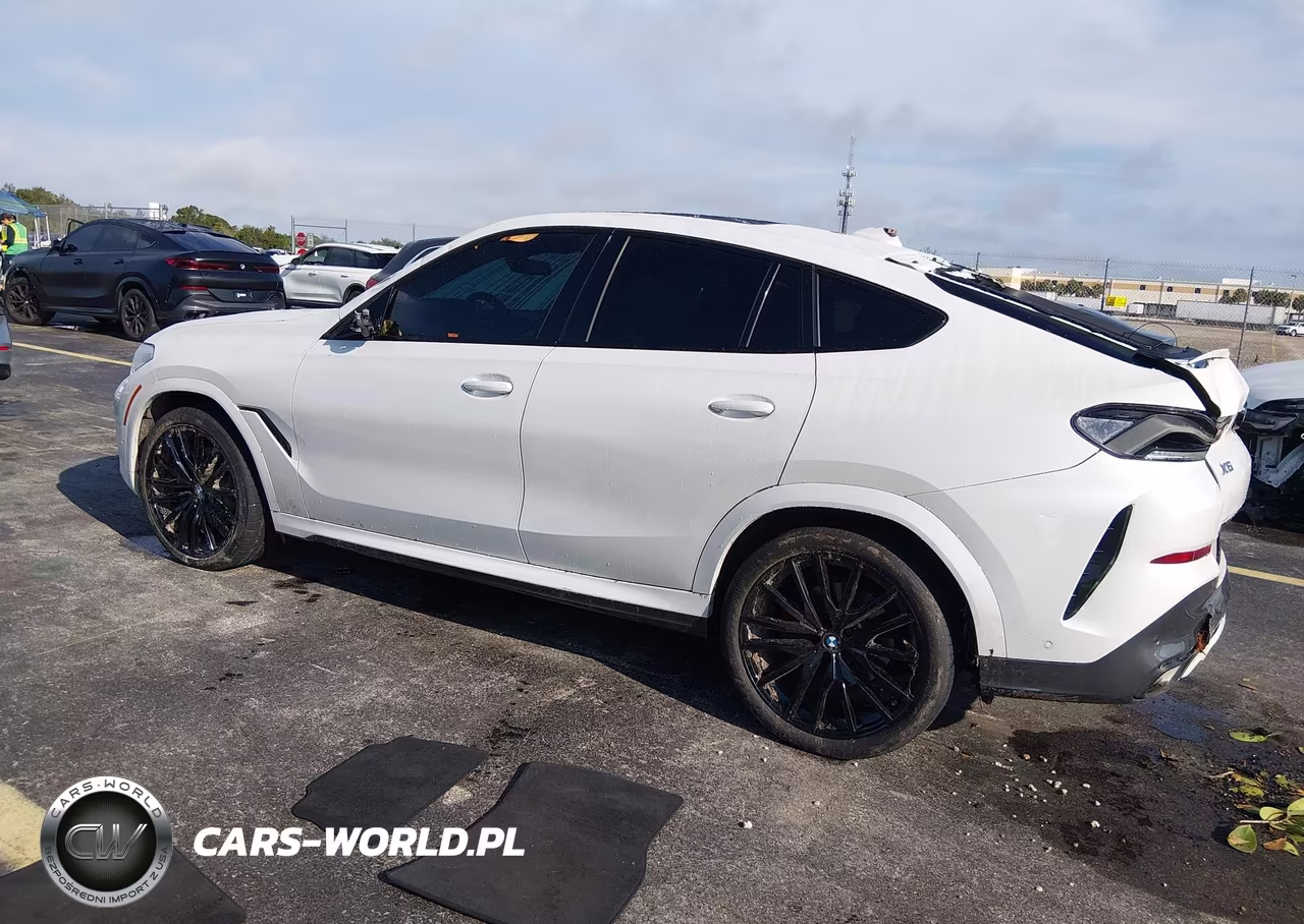 2023 BMW X6 xDrive40I VIN:5UXCY6C05P9N45958 - 3
