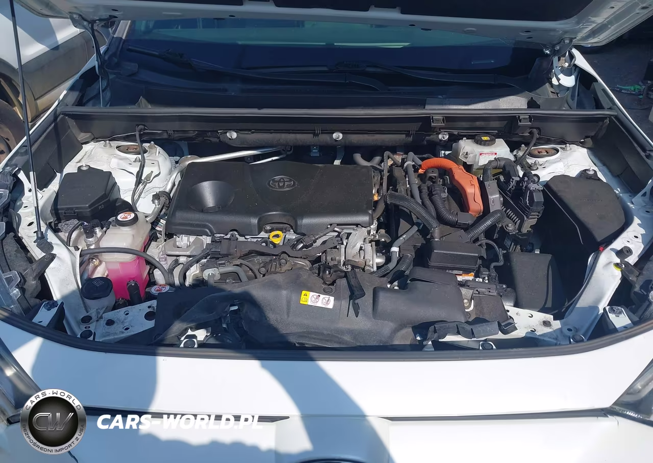 2019 Toyota Rav4 Hybrid Xse VIN:JTMEWRFV5KJ017501 - 10