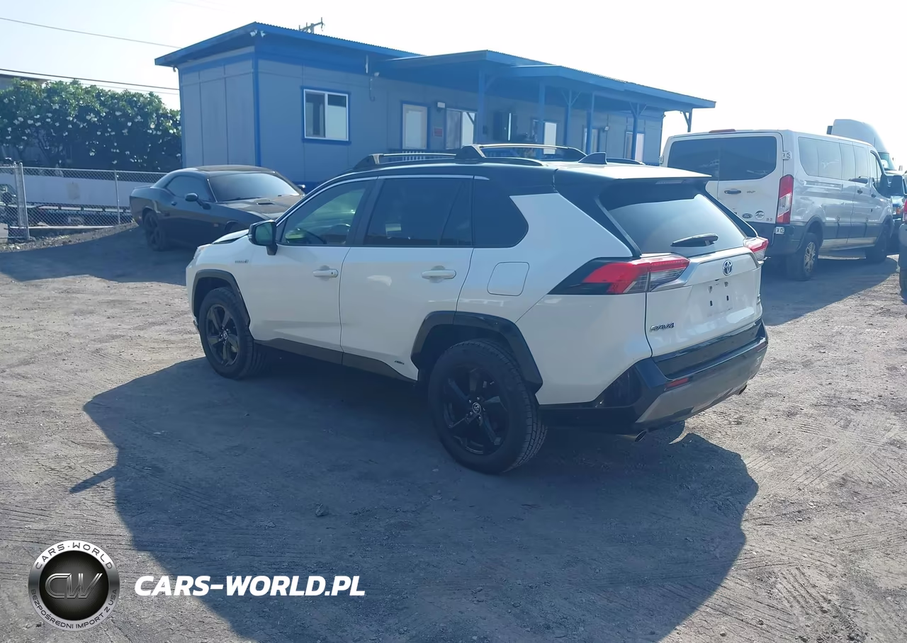 2019 Toyota Rav4 Hybrid Xse VIN:JTMEWRFV5KJ017501 - 3