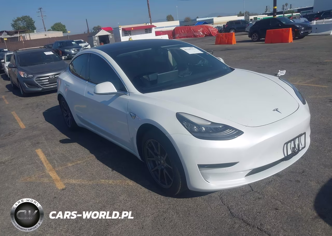 2019 Tesla Model 3 Long Range-Mid Range-Standard Range-Standard Range Plus