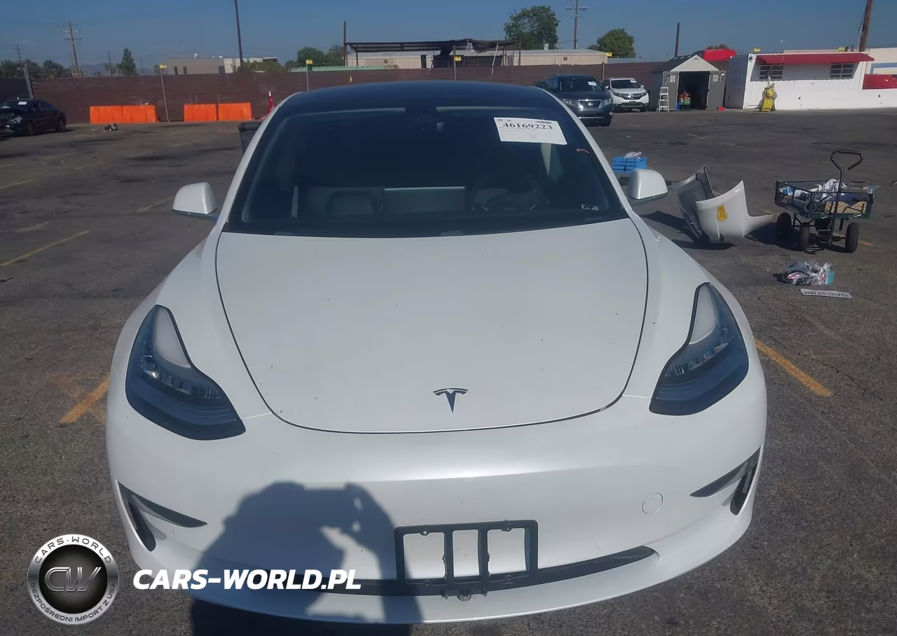2019 Tesla Model 3 Long Range-Mid Range-Standard Range-Standard Range Plus VIN:5YJ3E1EA0KF483564 - 13