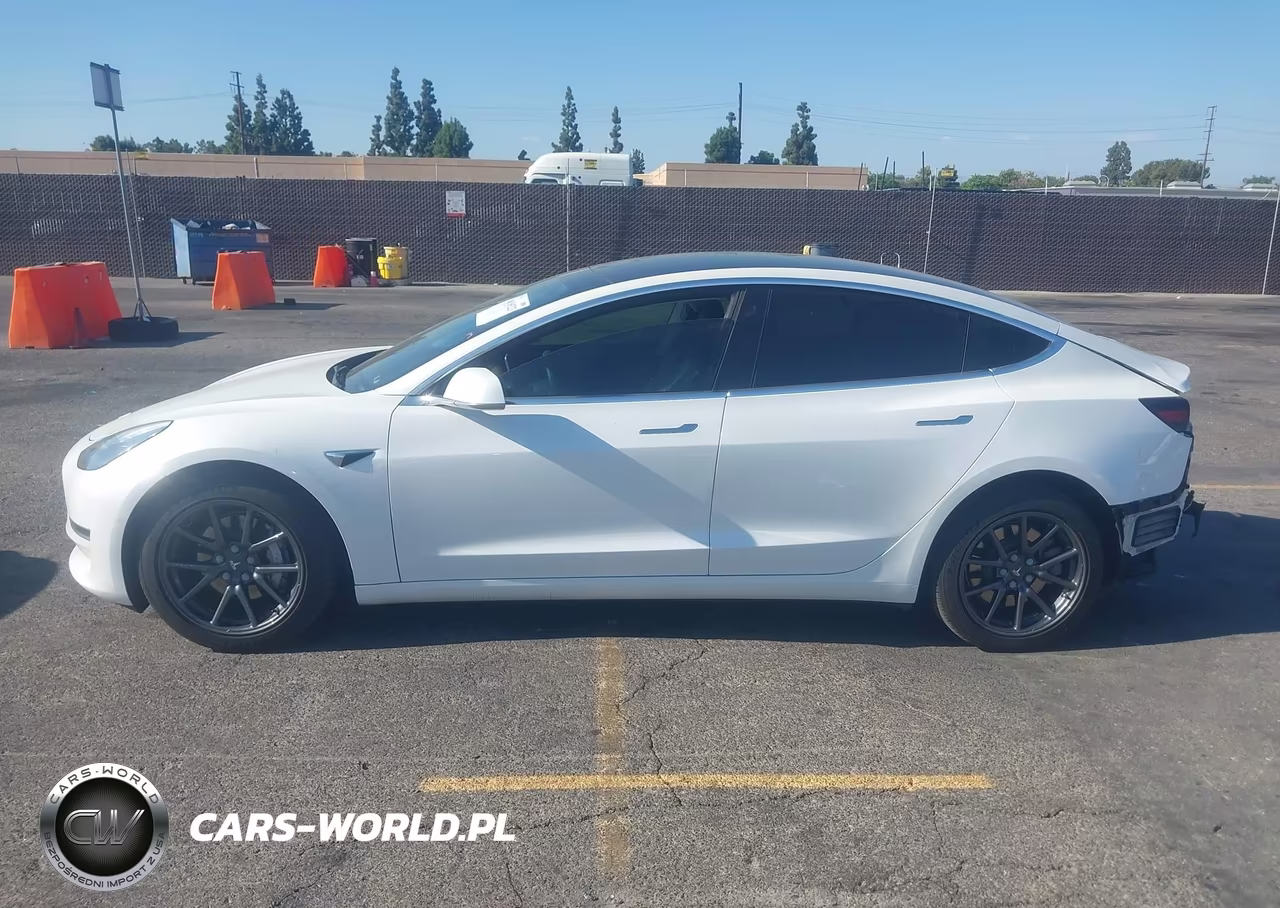 2019 Tesla Model 3 Long Range-Mid Range-Standard Range-Standard Range Plus VIN:5YJ3E1EA0KF483564 - 15