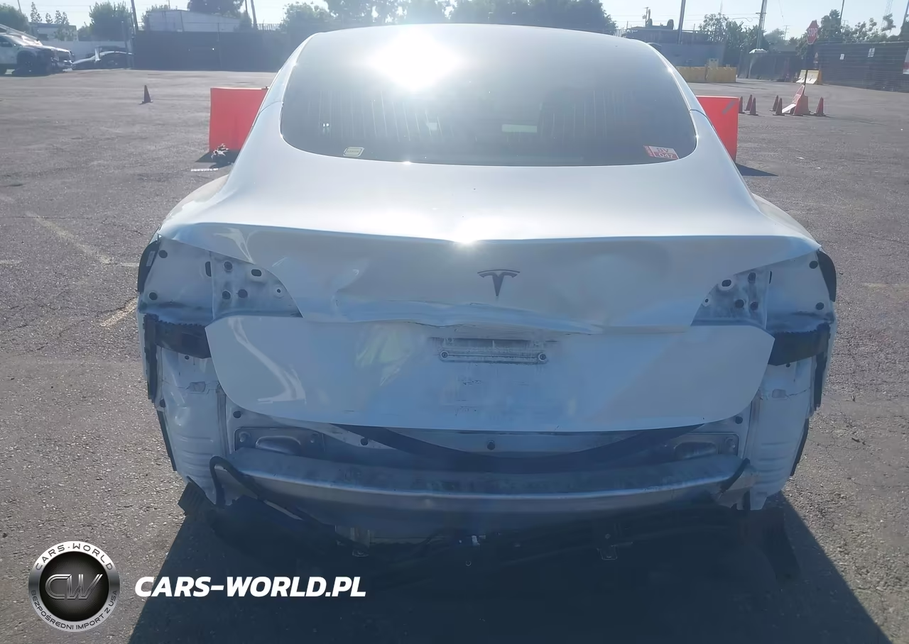 2019 Tesla Model 3 Long Range-Mid Range-Standard Range-Standard Range Plus VIN:5YJ3E1EA0KF483564 - 6