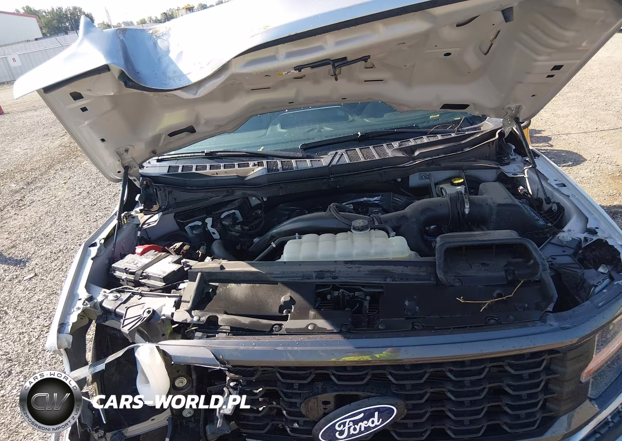 2024 Ford F-150 Stx VIN:1FTEW2LP0RKD14676 - 10