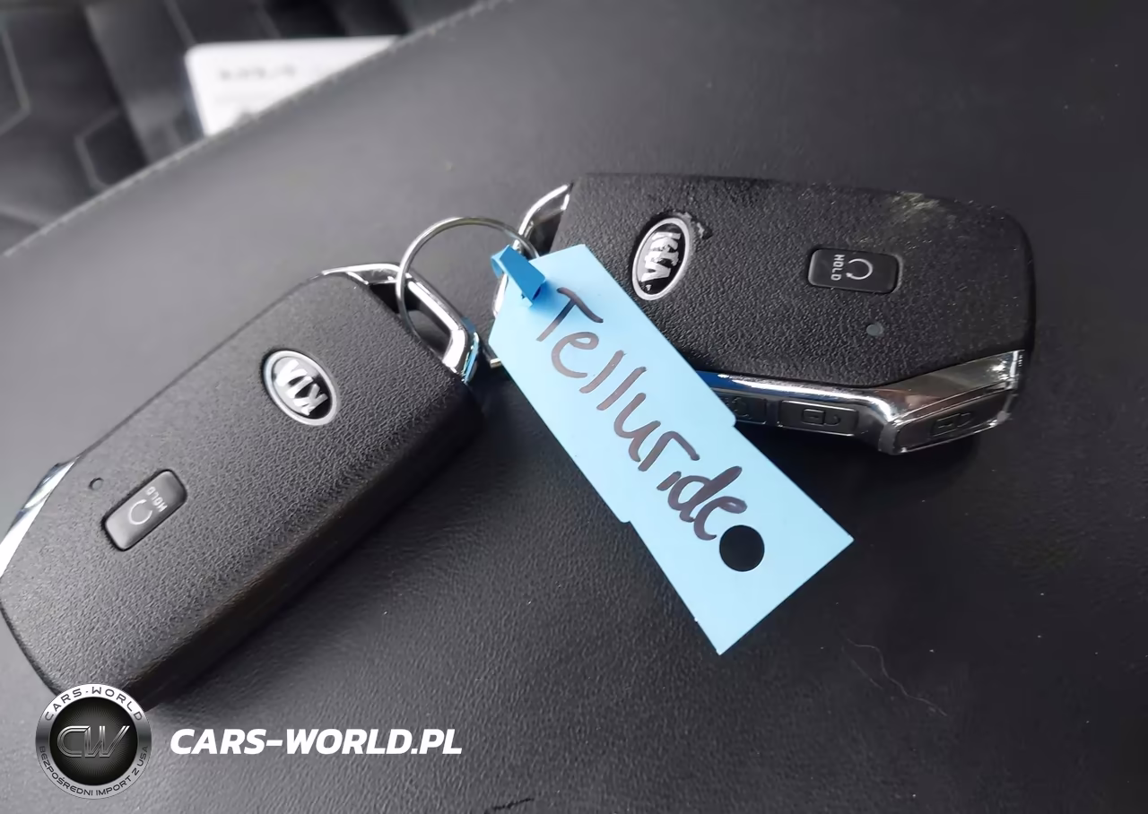 2021 Kia Telluride Sx VIN:5XYP5DHC8MG166952 - 11