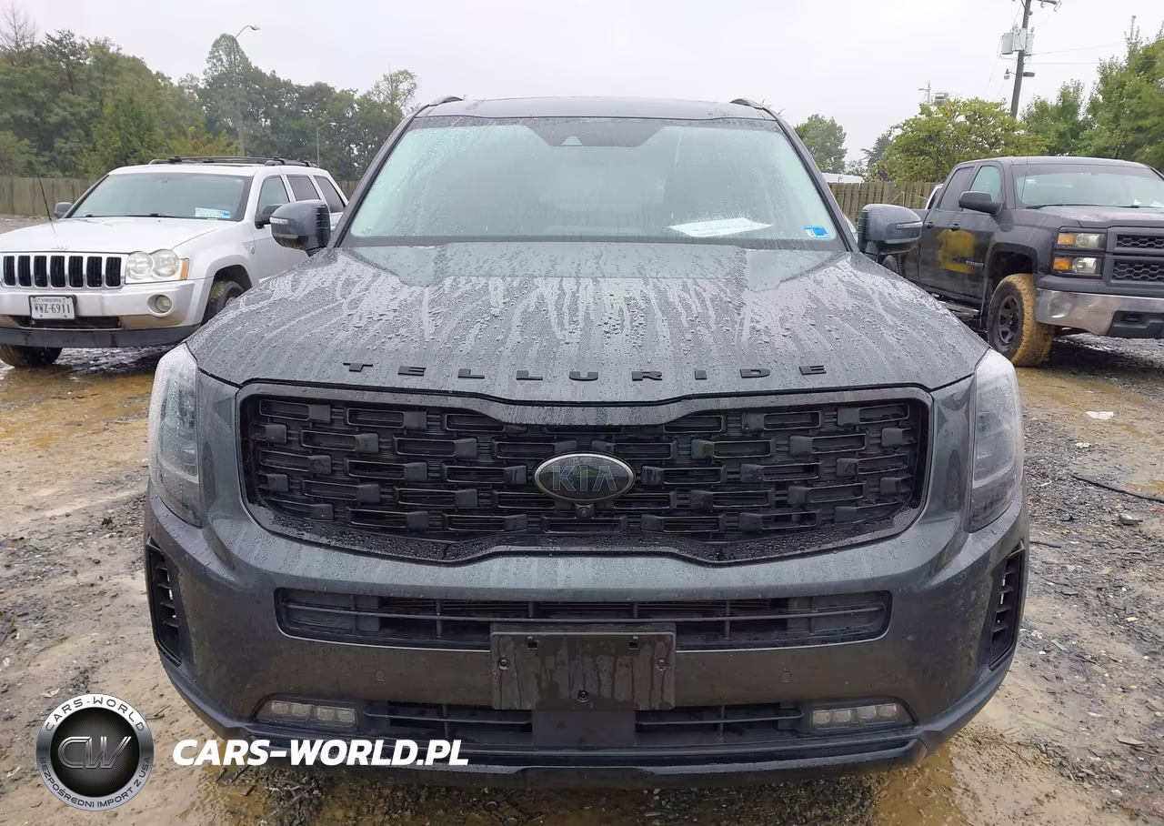2021 Kia Telluride Sx VIN:5XYP5DHC8MG166952 - 12