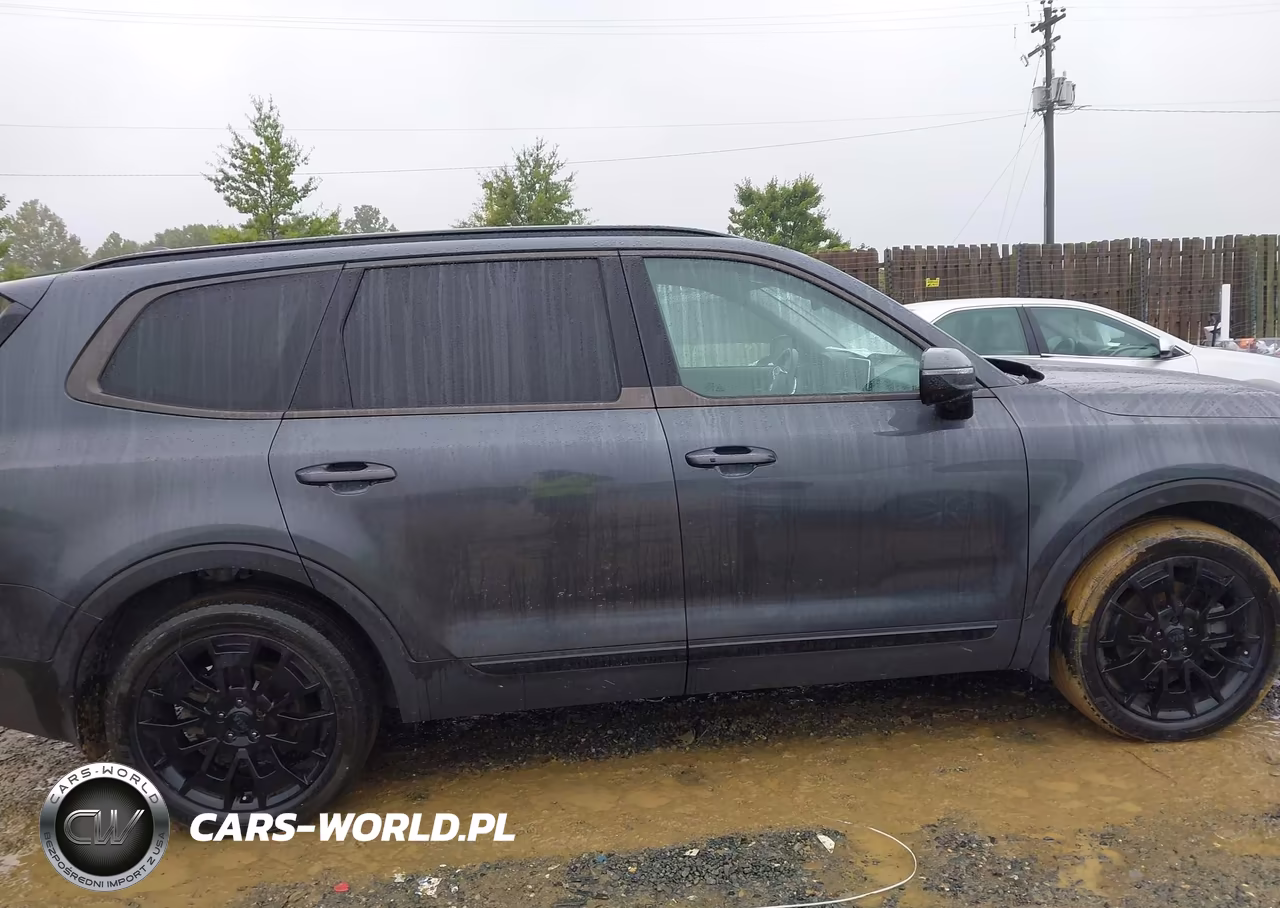 2021 Kia Telluride Sx VIN:5XYP5DHC8MG166952 - 13