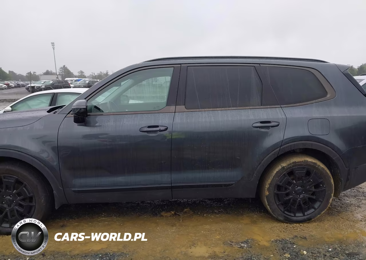 2021 Kia Telluride Sx VIN:5XYP5DHC8MG166952 - 14