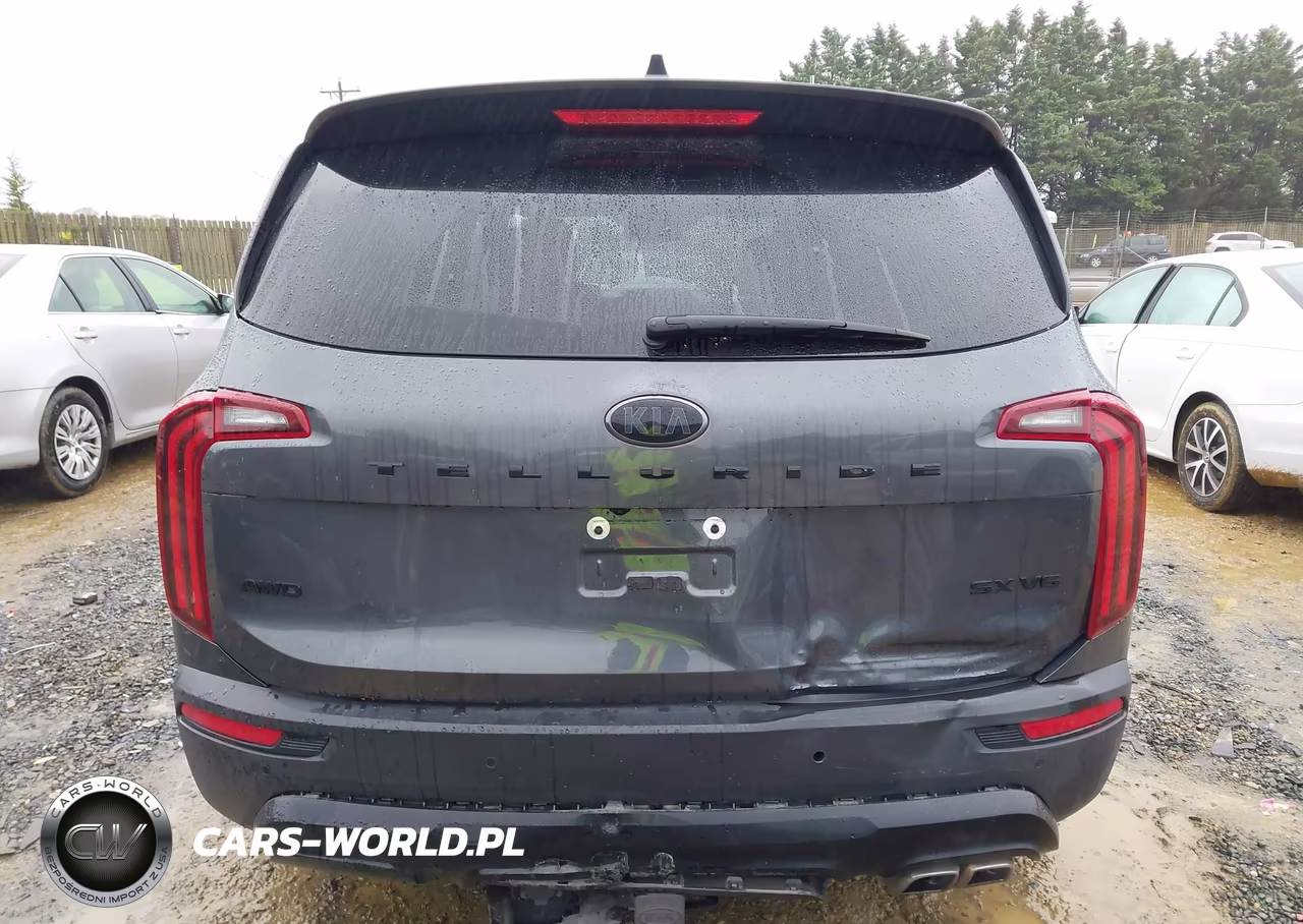 2021 Kia Telluride Sx VIN:5XYP5DHC8MG166952 - 16