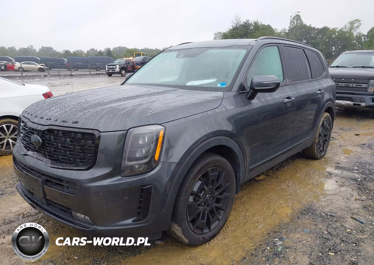 2021 Kia Telluride Sx VIN:5XYP5DHC8MG166952 - 2