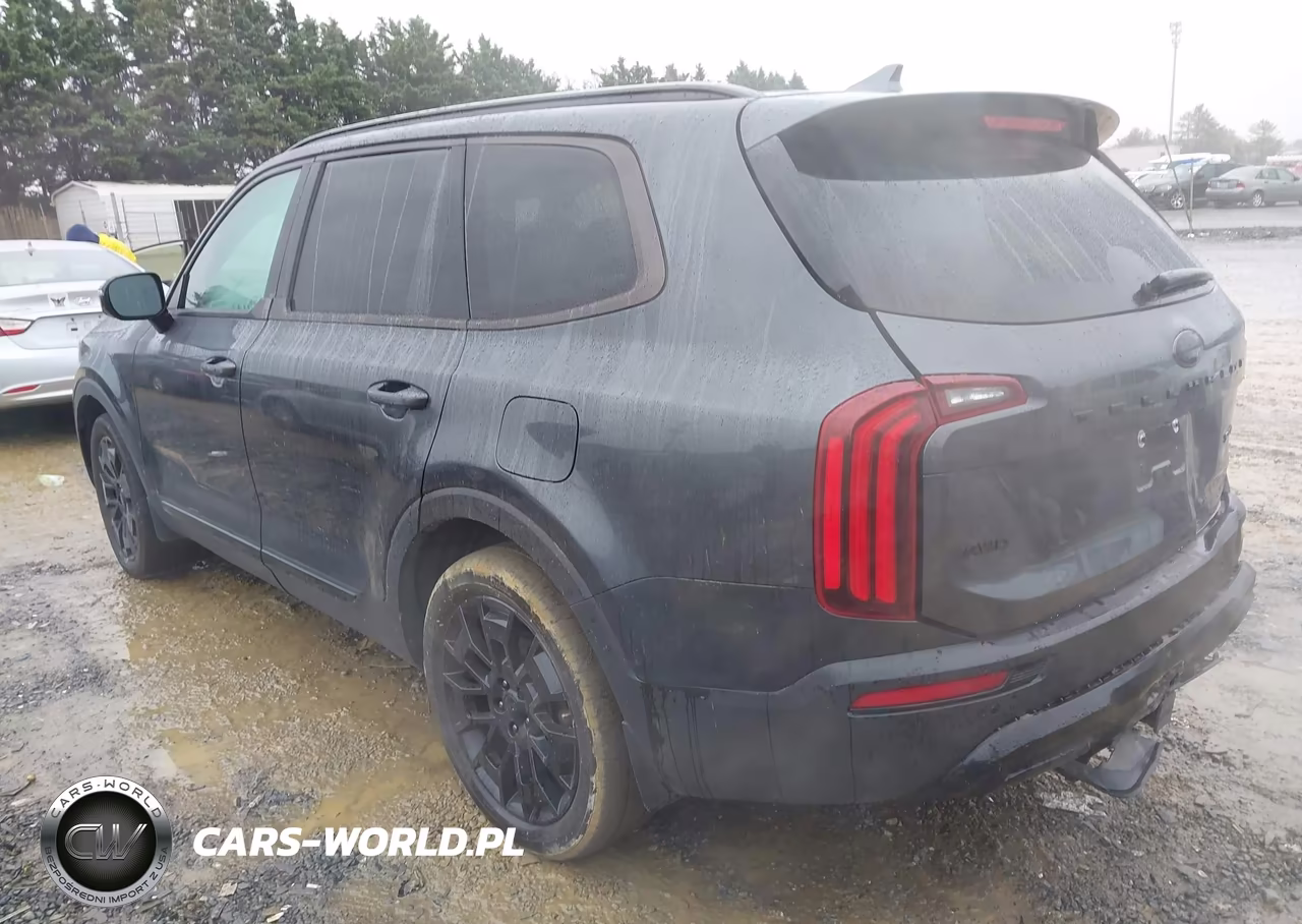 2021 Kia Telluride Sx VIN:5XYP5DHC8MG166952 - 3