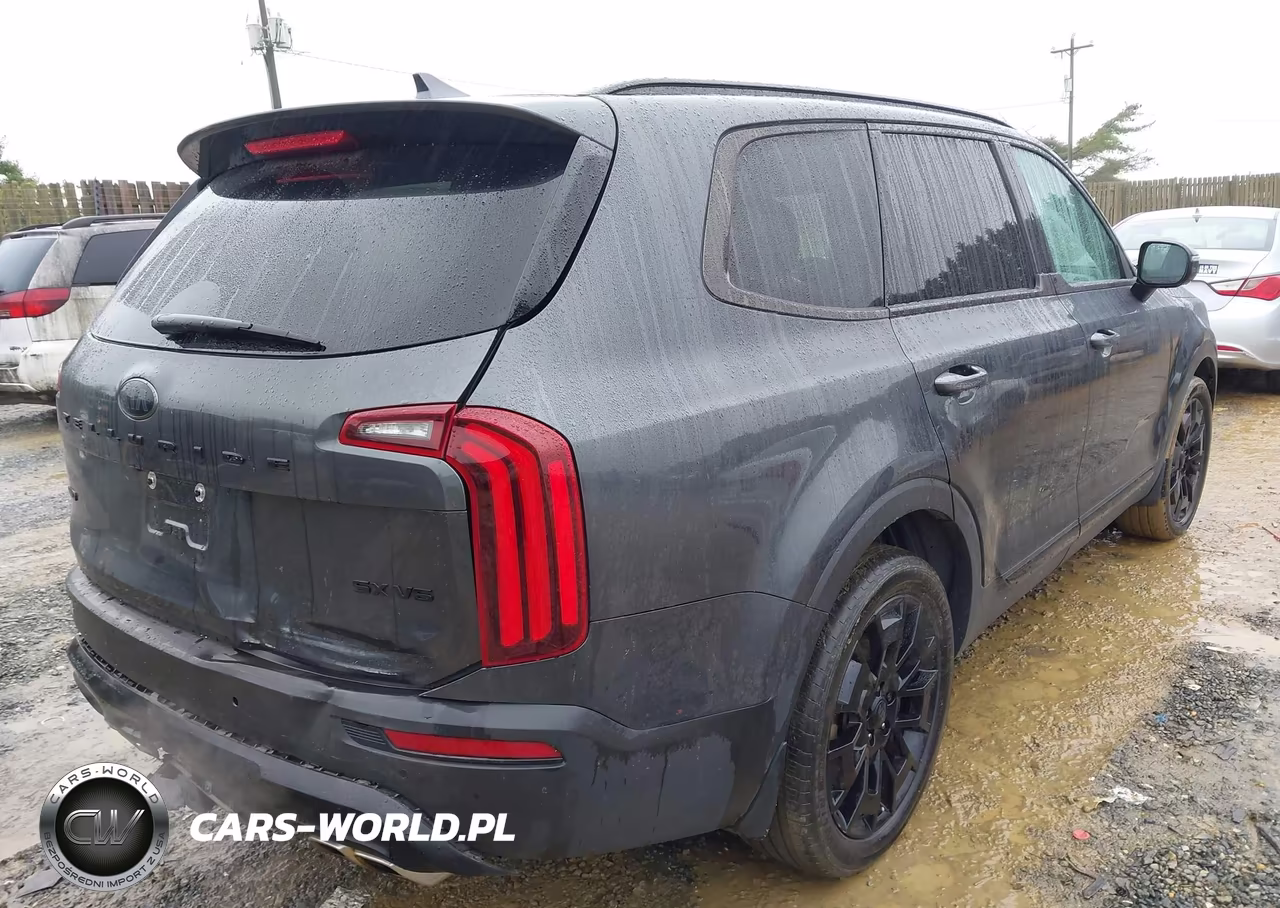 2021 Kia Telluride Sx VIN:5XYP5DHC8MG166952 - 4