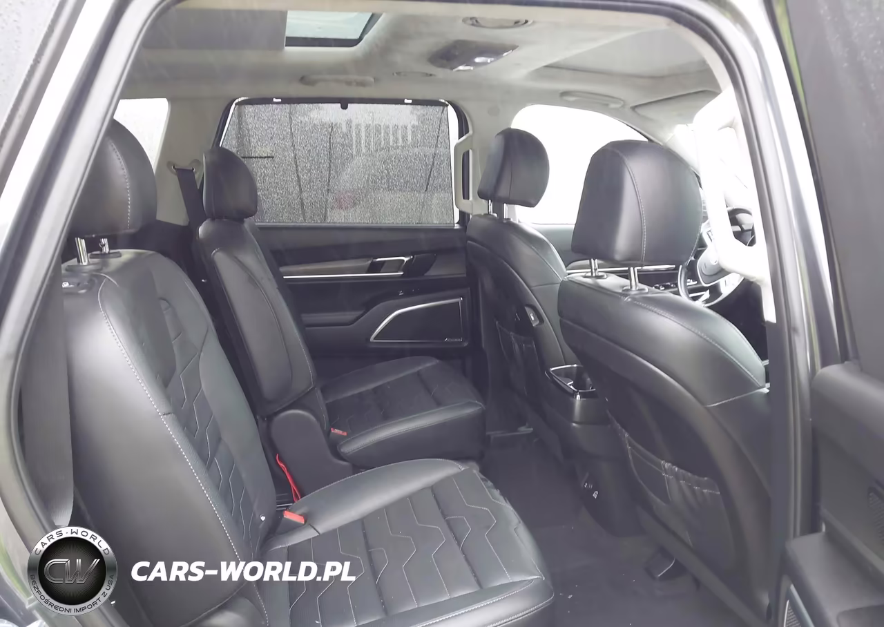 2021 Kia Telluride Sx VIN:5XYP5DHC8MG166952 - 8