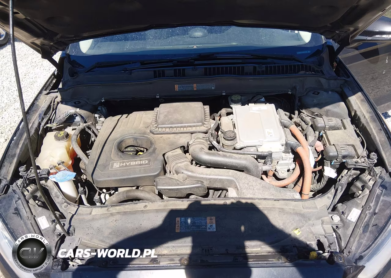 2014 Ford Fusion Hybrid Se VIN:3FA6P0LUXER317236 - 10