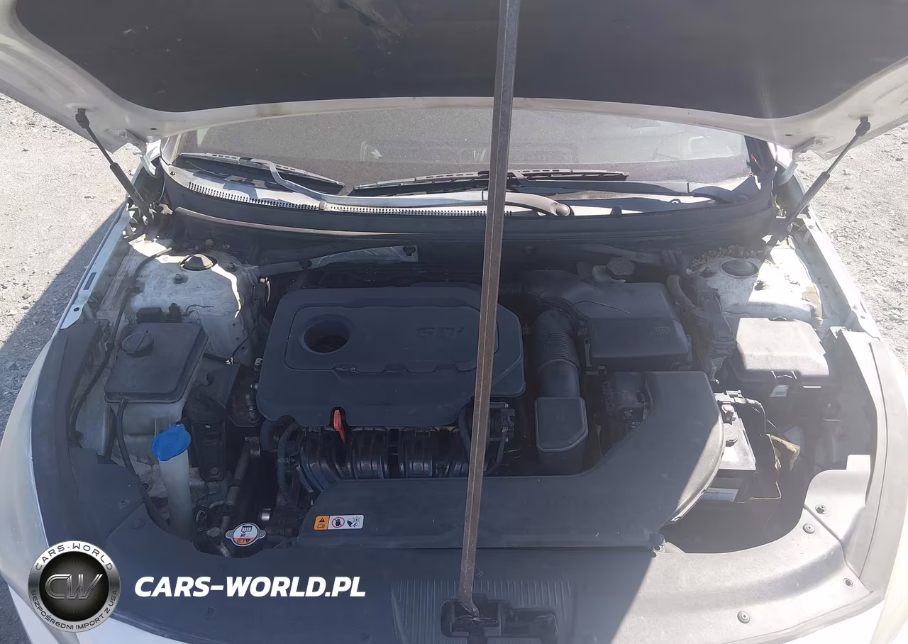 2015 Hyundai Sonata Se VIN:5NPE24AF9FH002125 - 10