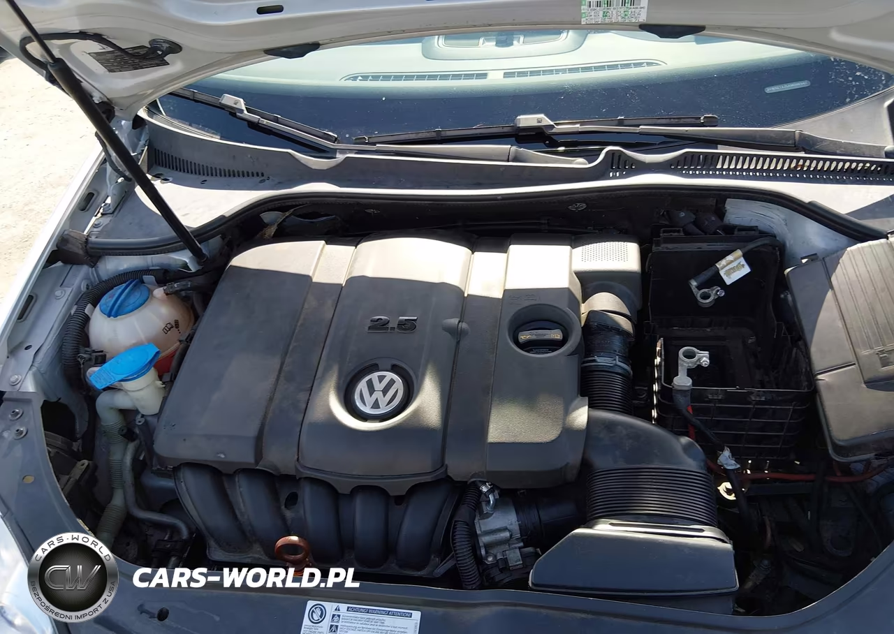 2010 Volkswagen Jetta Limited Edition VIN:3VWRZ7AJ5AM098340 - 10