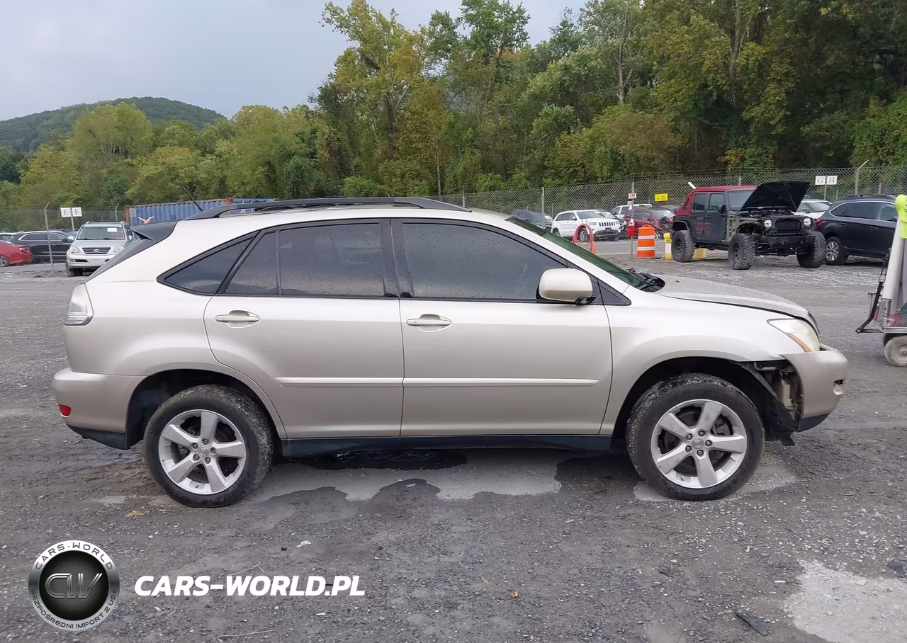 2007 Lexus Rx 350 VIN:2T2HK31U87C046137 - 13