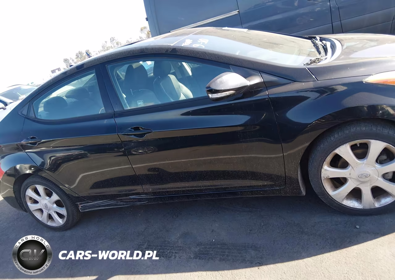 2013 Hyundai Elantra Limited VIN:KMHDH4AE5DU820810 - 13