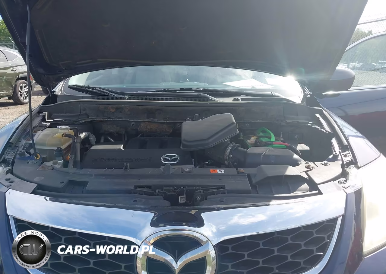 2010 Mazda Cx-9 Touring VIN:JM3TB3MV1A0201932 - 10