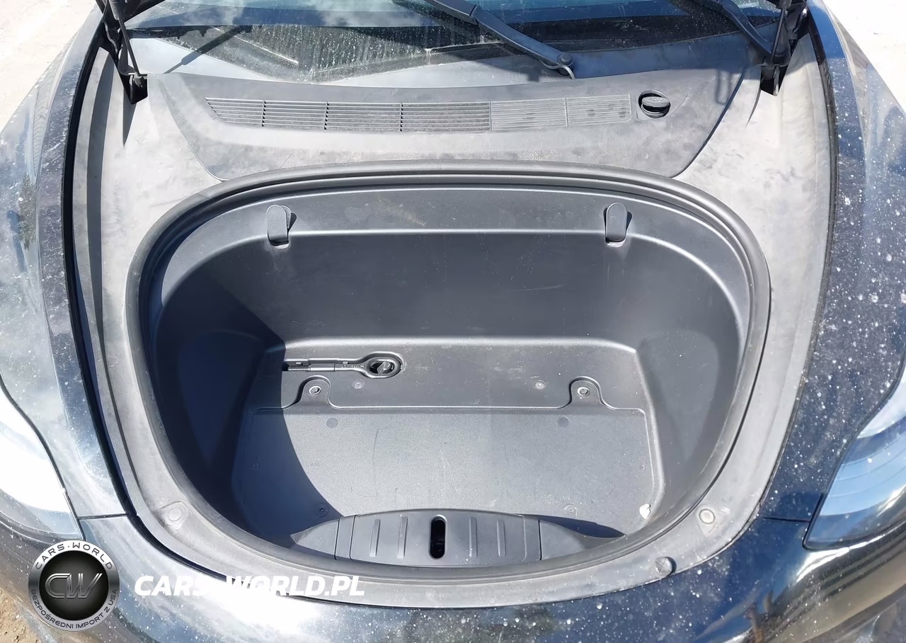 2019 Tesla Model 3 Long Range-Mid Range-Standard Range-Standard Range Plus VIN:5YJ3E1EA3KF423116 - 10