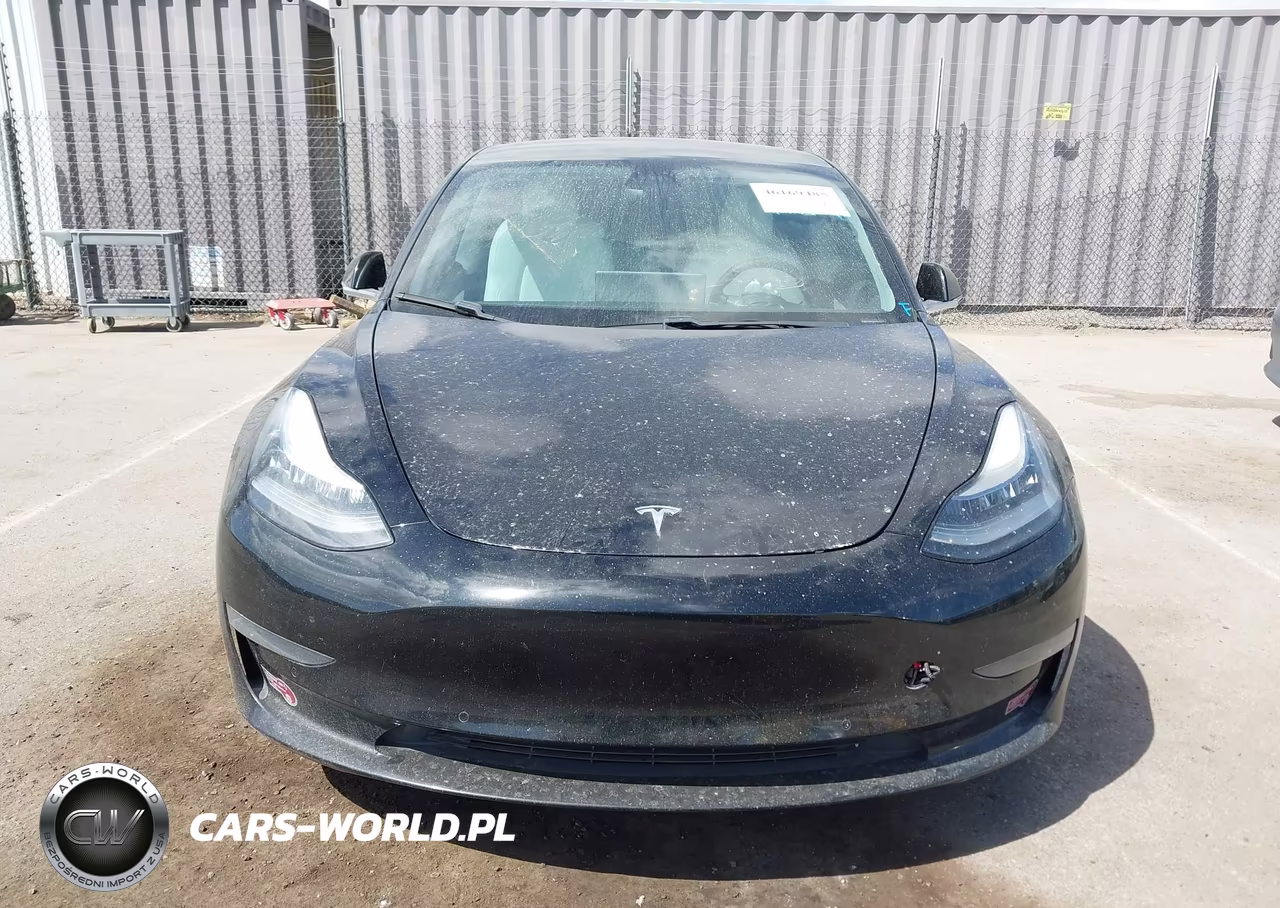 2019 Tesla Model 3 Long Range-Mid Range-Standard Range-Standard Range Plus VIN:5YJ3E1EA3KF423116 - 12