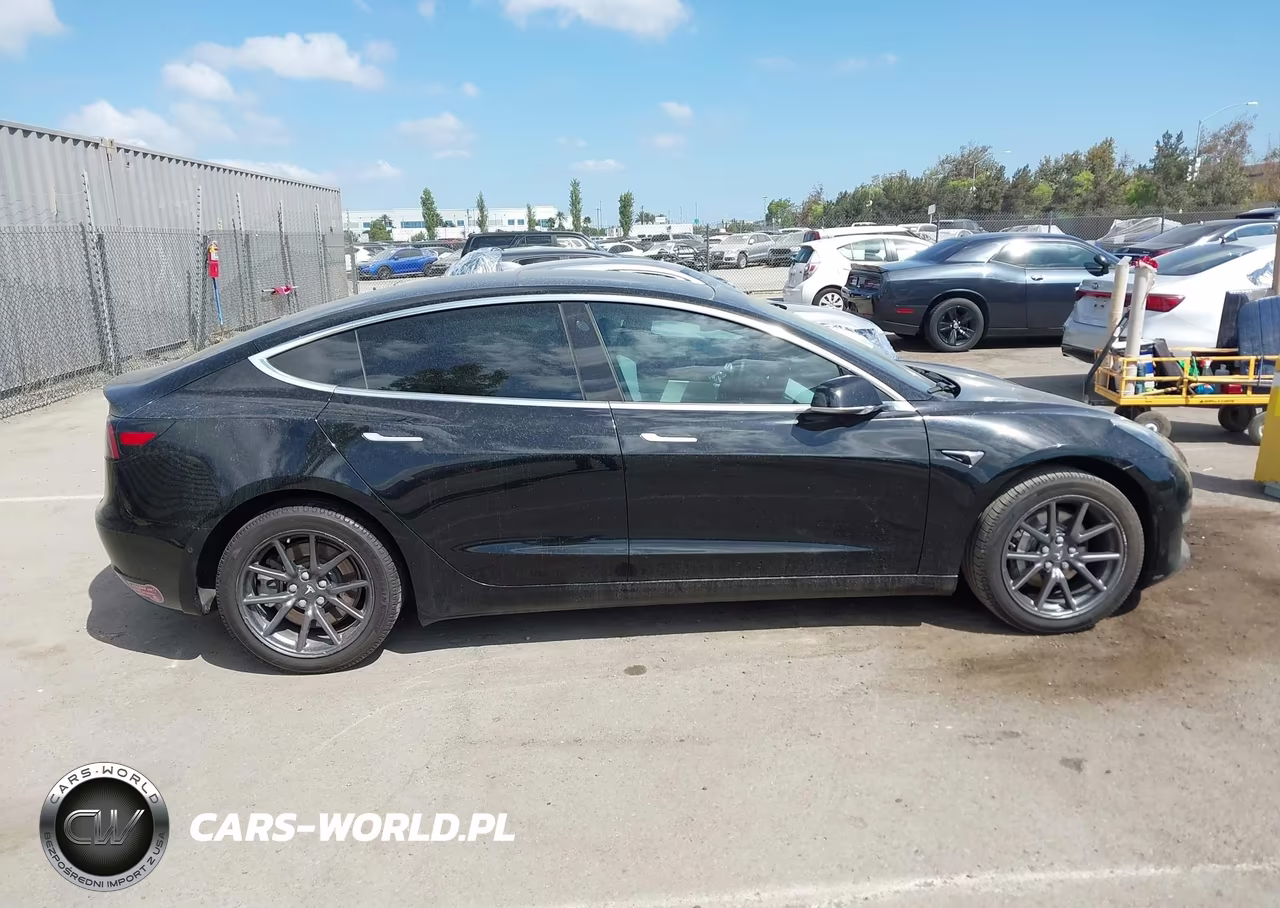 2019 Tesla Model 3 Long Range-Mid Range-Standard Range-Standard Range Plus VIN:5YJ3E1EA3KF423116 - 13