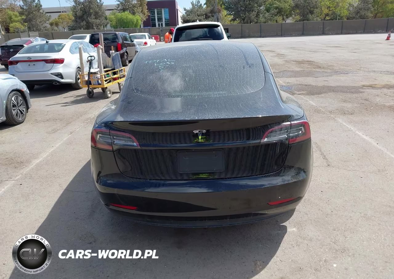 2019 Tesla Model 3 Long Range-Mid Range-Standard Range-Standard Range Plus VIN:5YJ3E1EA3KF423116 - 16