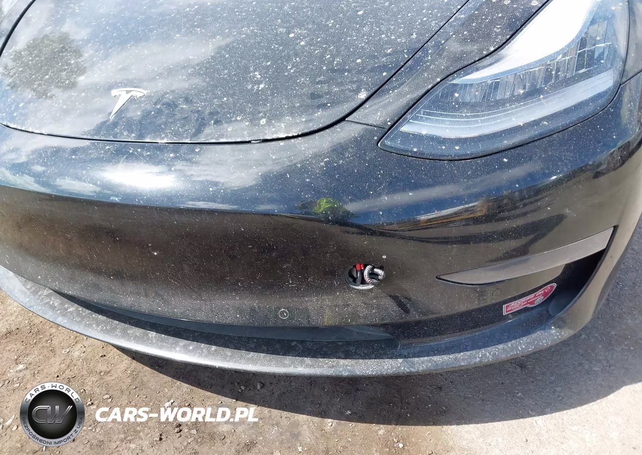 2019 Tesla Model 3 Long Range-Mid Range-Standard Range-Standard Range Plus VIN:5YJ3E1EA3KF423116 - 19