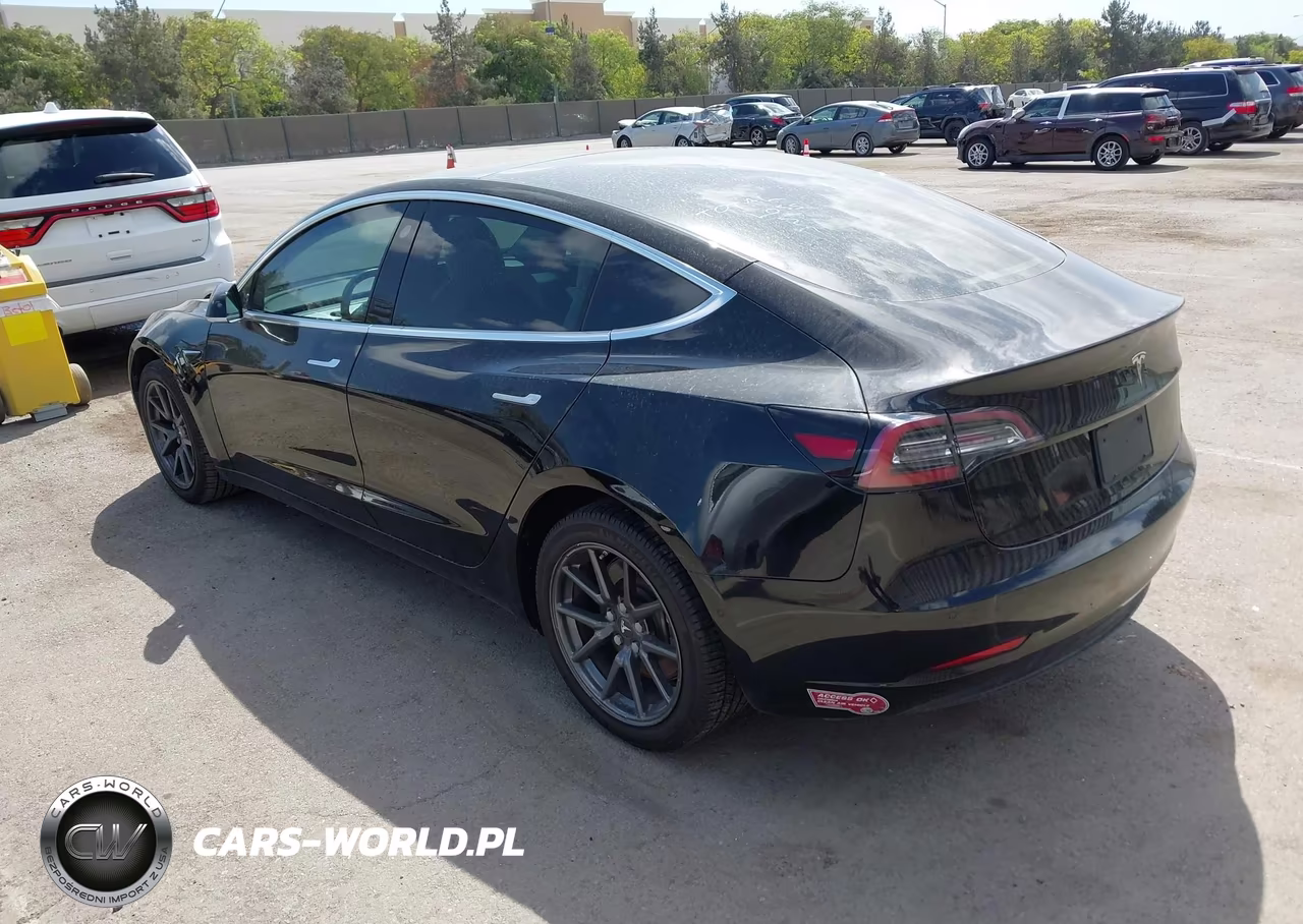 2019 Tesla Model 3 Long Range-Mid Range-Standard Range-Standard Range Plus VIN:5YJ3E1EA3KF423116 - 3