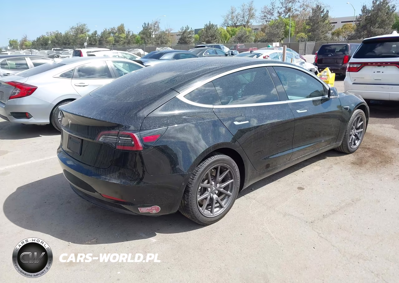 2019 Tesla Model 3 Long Range-Mid Range-Standard Range-Standard Range Plus VIN:5YJ3E1EA3KF423116 - 4