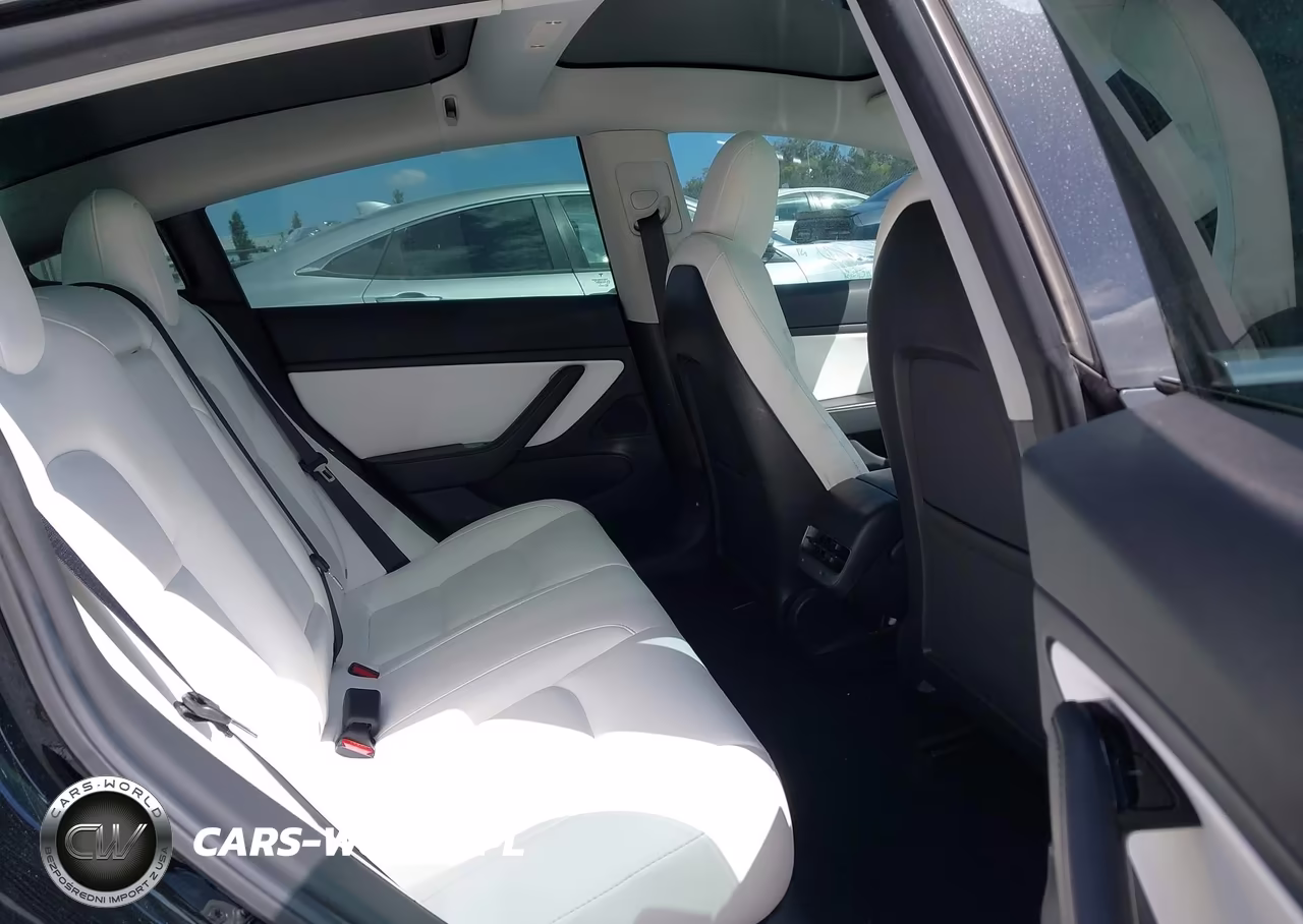 2019 Tesla Model 3 Long Range-Mid Range-Standard Range-Standard Range Plus VIN:5YJ3E1EA3KF423116 - 8