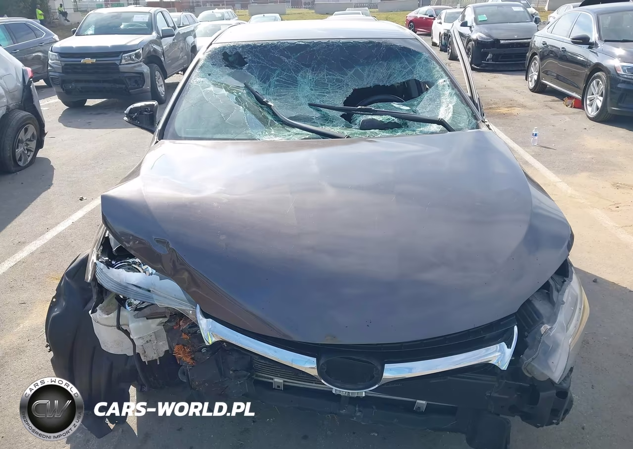 2017 Toyota Camry Xse VIN:4T1BF1FK9HU681331 - 17