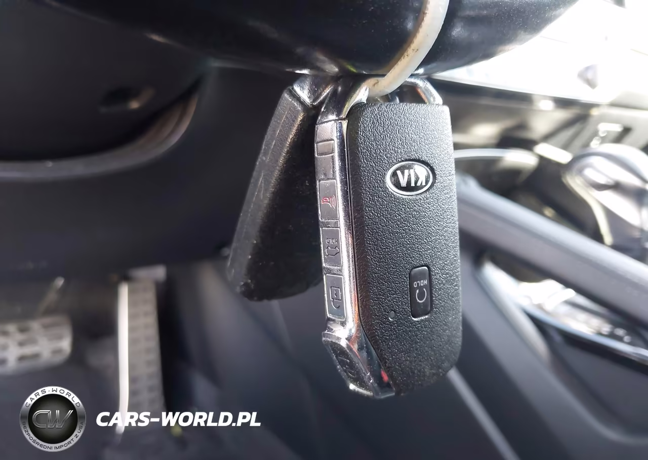 2021 Kia Telluride Sx VIN:5XYP5DHC7MG143047 - 11