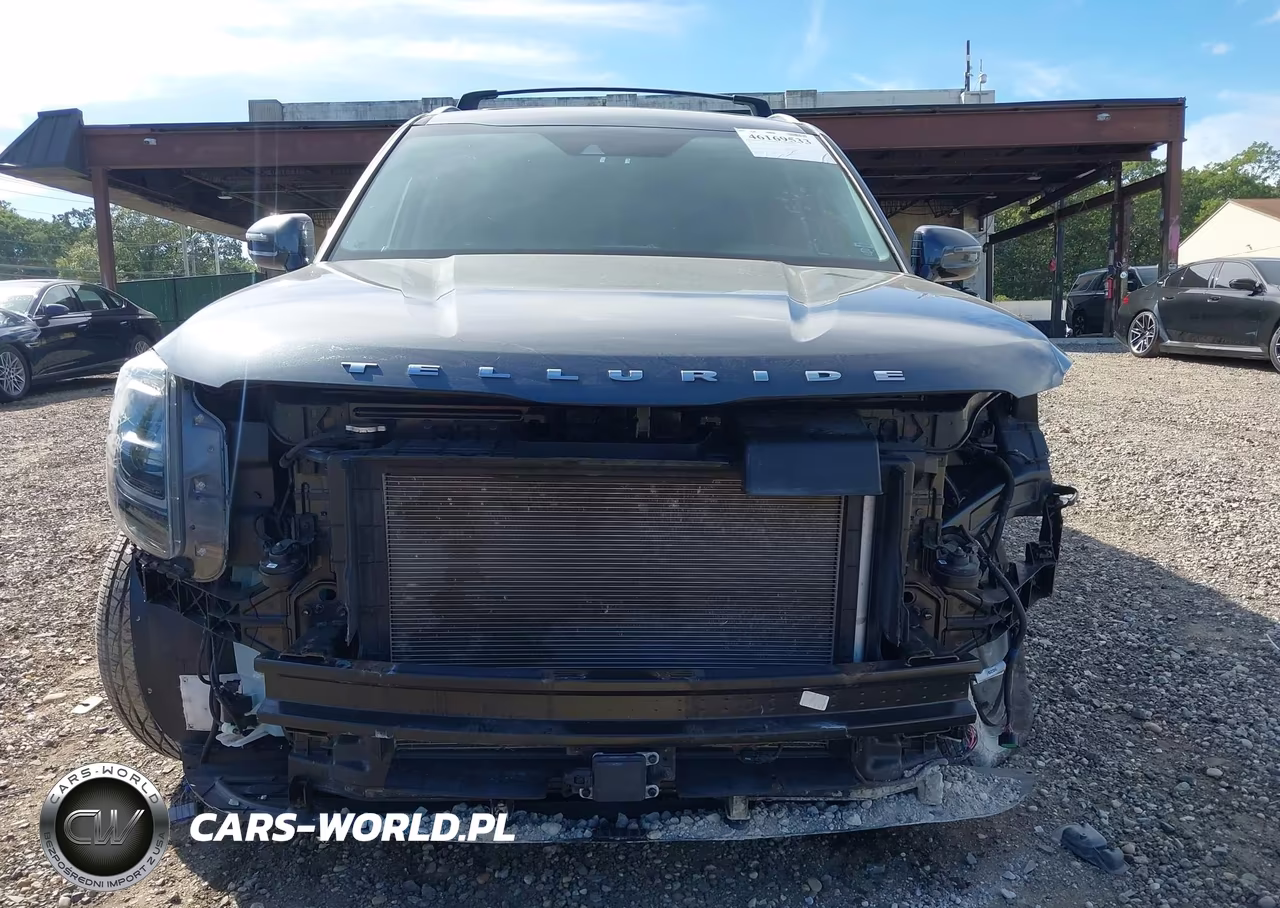2021 Kia Telluride Sx VIN:5XYP5DHC7MG143047 - 13