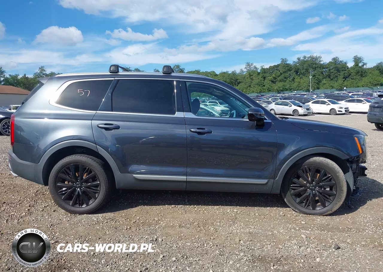 2021 Kia Telluride Sx VIN:5XYP5DHC7MG143047 - 14