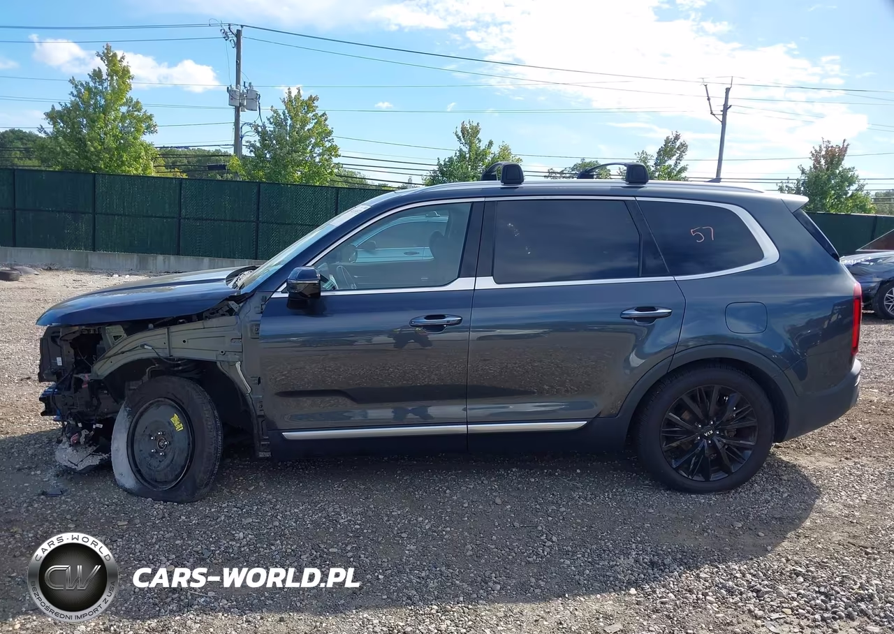 2021 Kia Telluride Sx VIN:5XYP5DHC7MG143047 - 15