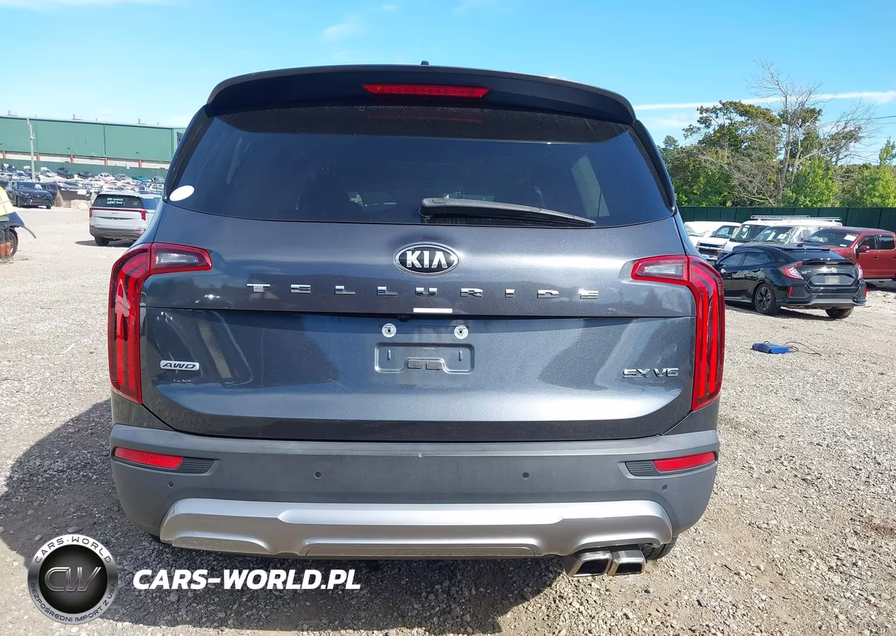 2021 Kia Telluride Sx VIN:5XYP5DHC7MG143047 - 17