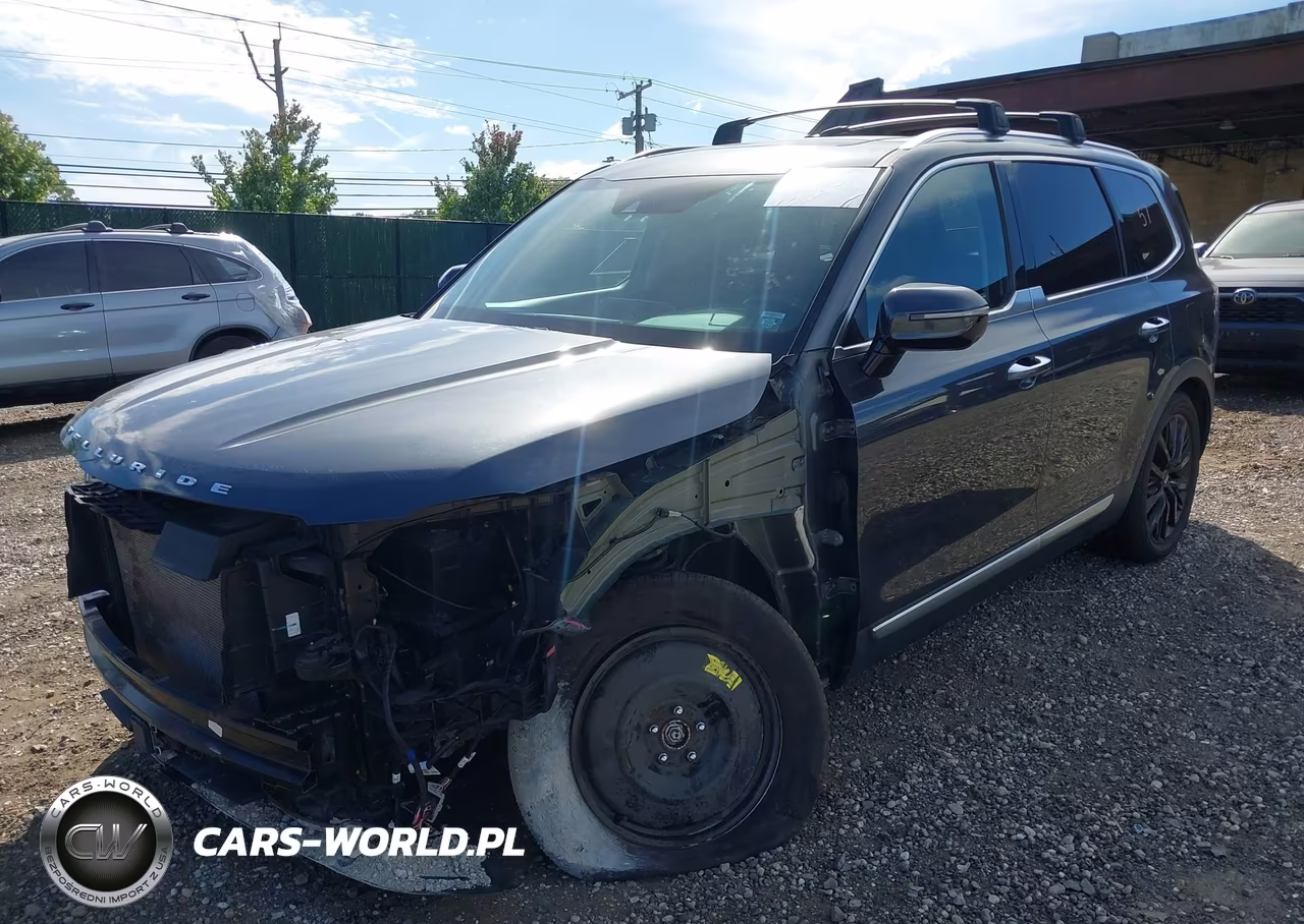 2021 Kia Telluride Sx VIN:5XYP5DHC7MG143047 - 2