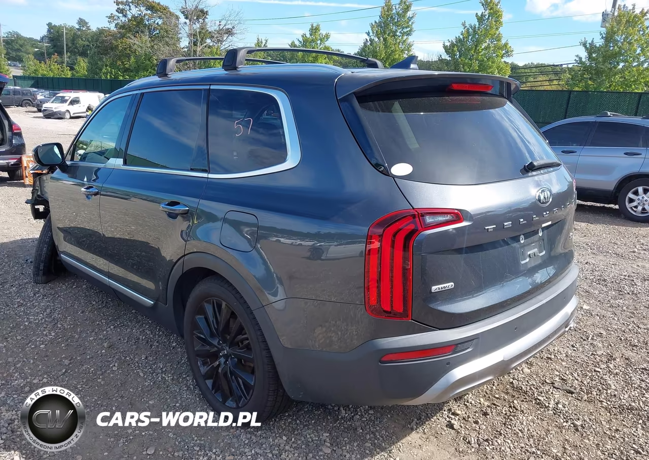 2021 Kia Telluride Sx VIN:5XYP5DHC7MG143047 - 3