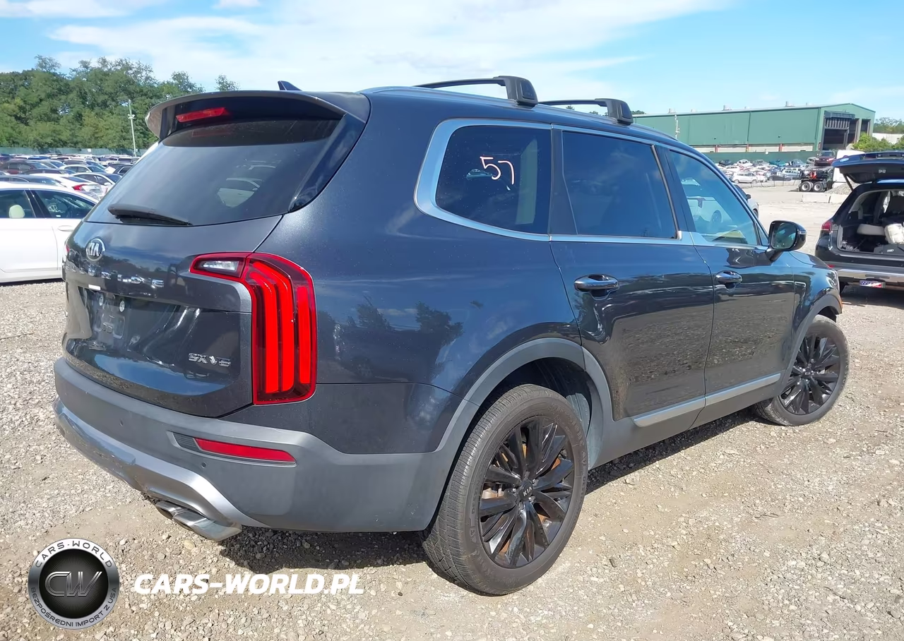 2021 Kia Telluride Sx VIN:5XYP5DHC7MG143047 - 4