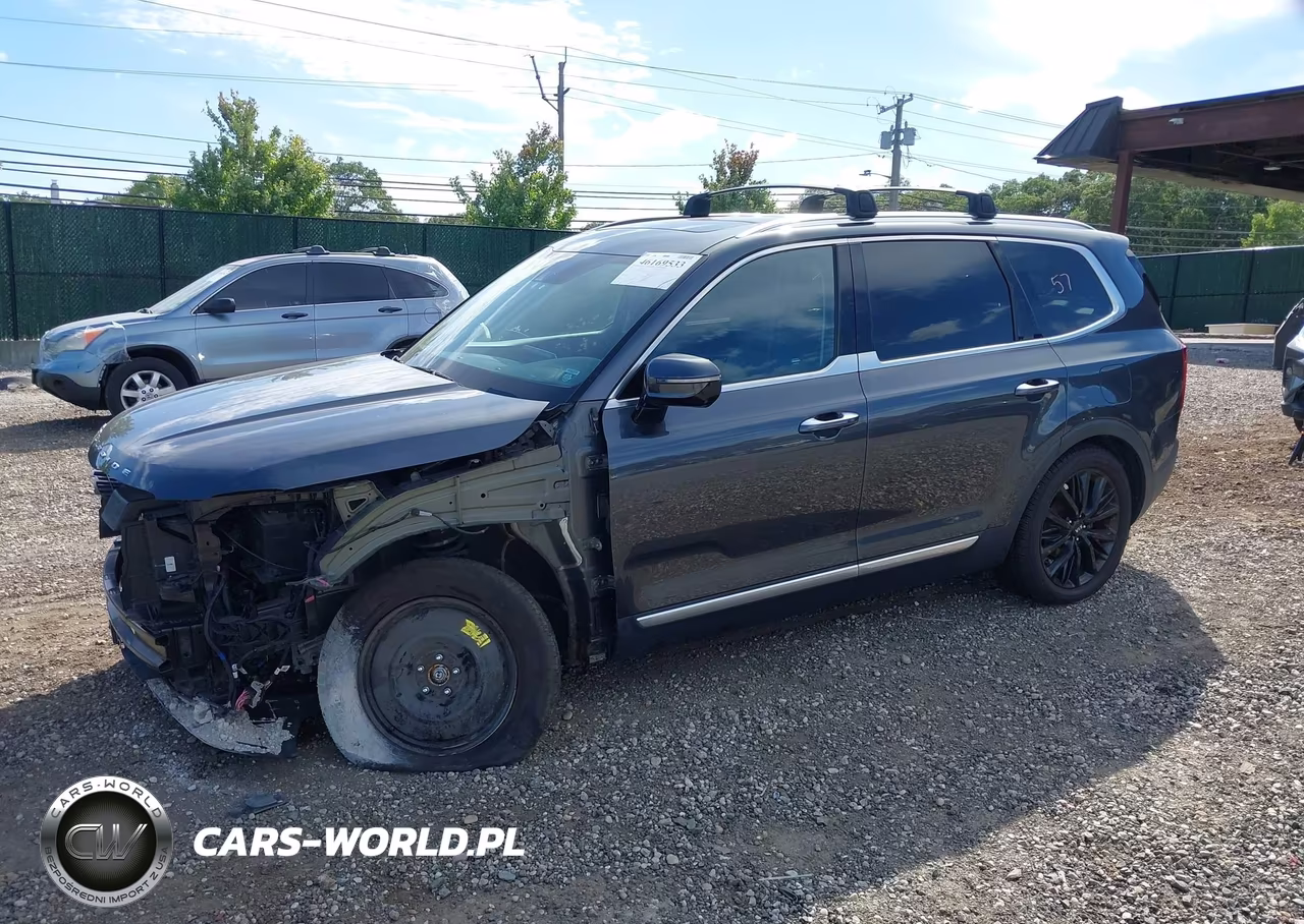 2021 Kia Telluride Sx VIN:5XYP5DHC7MG143047 - 6
