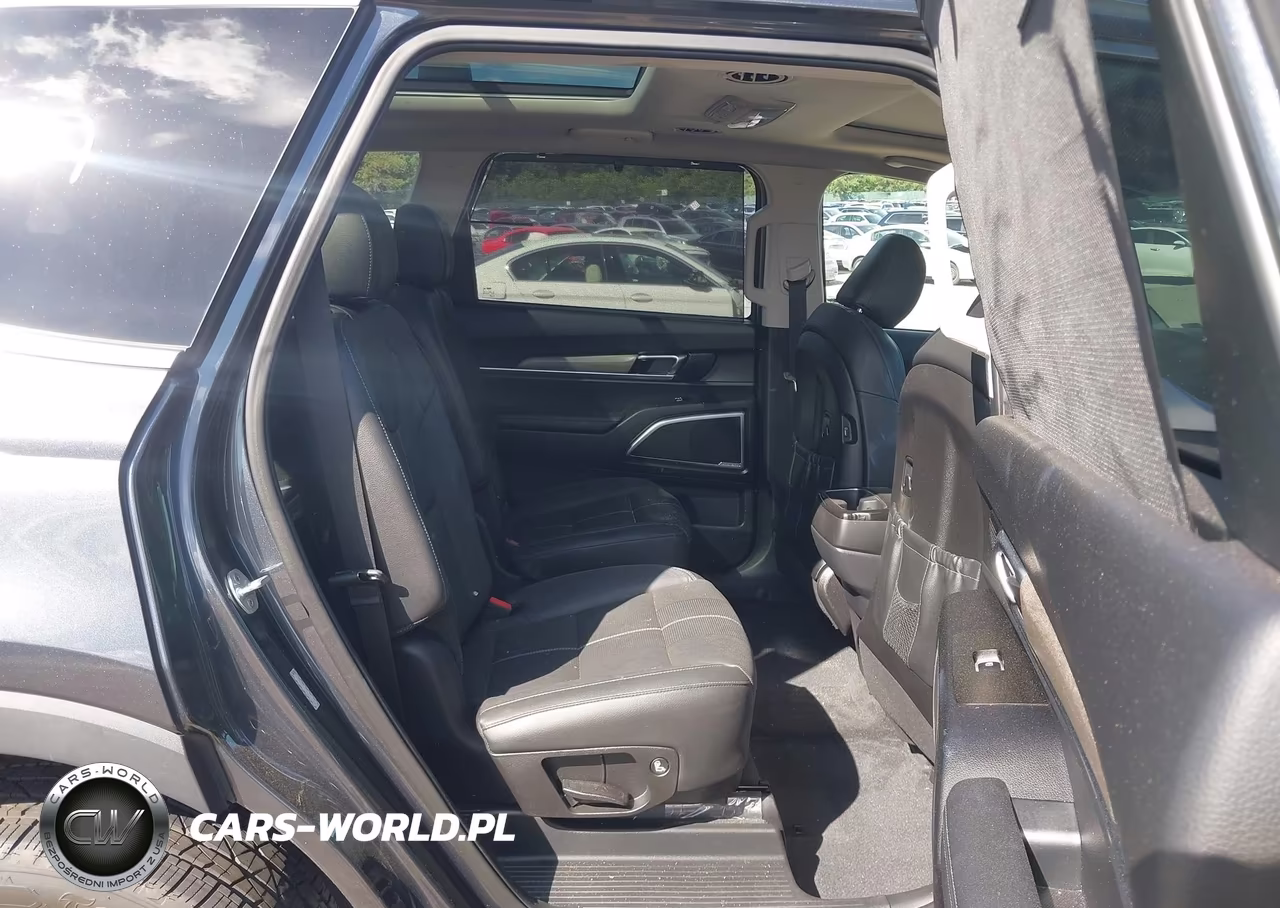 2021 Kia Telluride Sx VIN:5XYP5DHC7MG143047 - 8