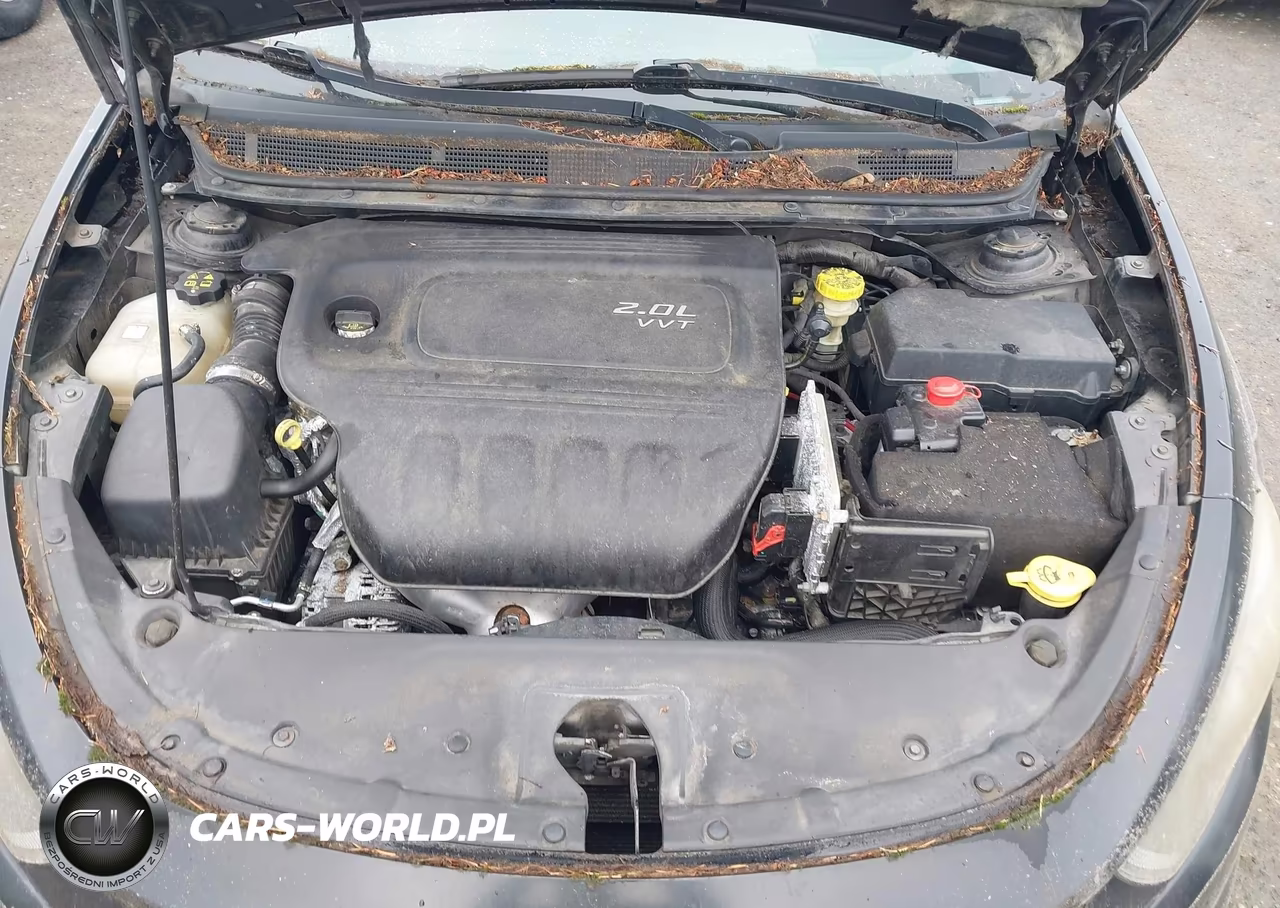 2013 Dodge Dart Rallye VIN:1C3CDFBA9DD117797 - 10
