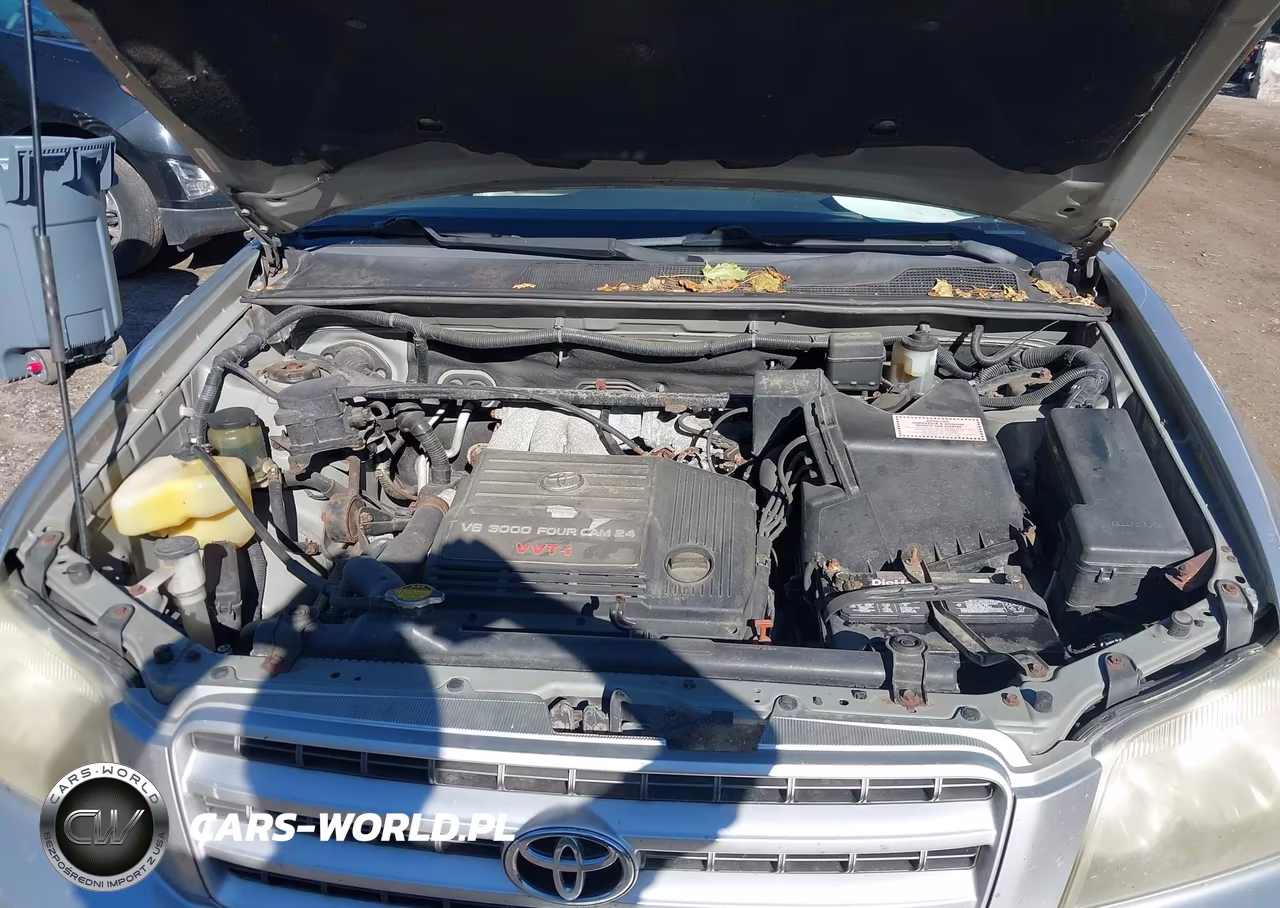 2002 Toyota Highlander Limited V6 VIN:JTEHF21A420094483 - 10