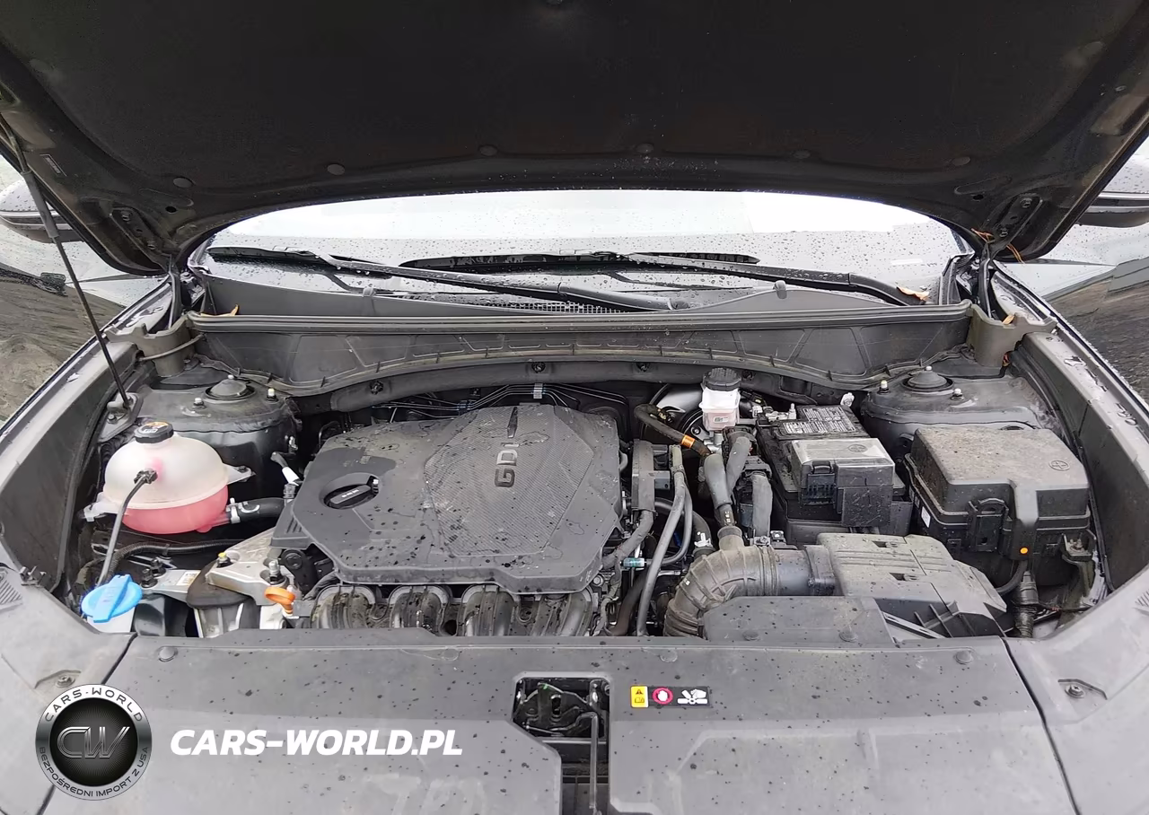 2024 Hyundai Tucson Sel VIN:5NMJF3DE2RH401136 - 10