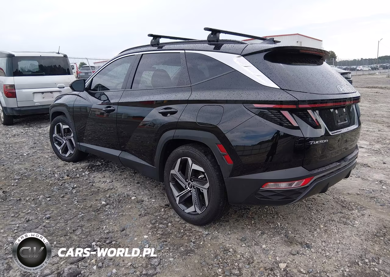 2024 Hyundai Tucson Sel VIN:5NMJF3DE2RH401136 - 3