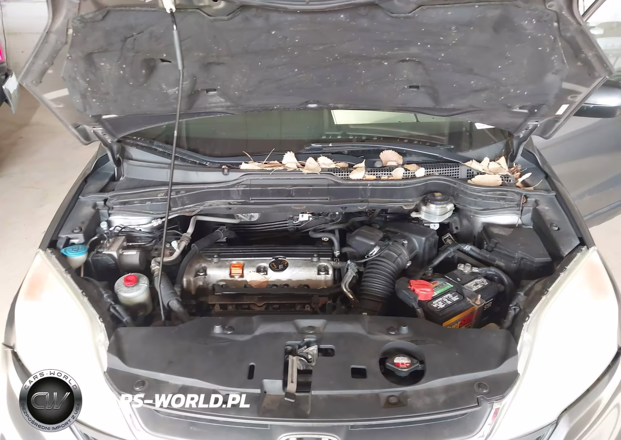 2010 Honda Cr-V Lx VIN:5J6RE4H36AL059448 - 10