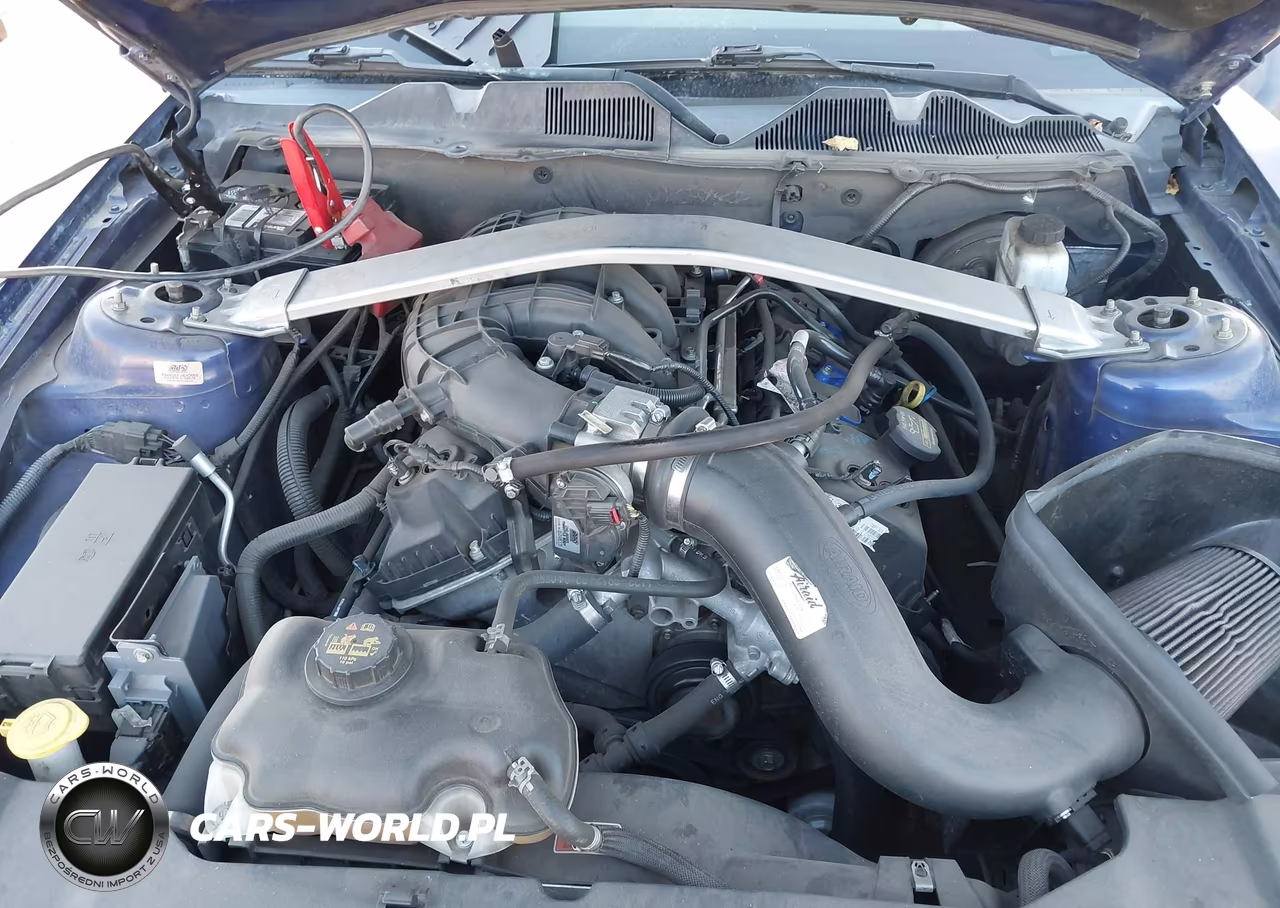 2013 Ford Mustang V6 VIN:1ZVBP8AM1D5221651 - 10