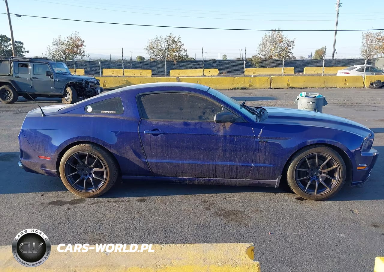 2013 Ford Mustang V6 VIN:1ZVBP8AM1D5221651 - 13